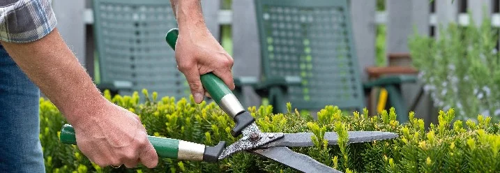 Person schneidet Hecke mit Gartenschere